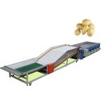 Lemon Fruit Grading System for sale