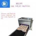 Egg Inkjet Coding Equipment / Continuous Ink System Printer With Six 45ML Ink