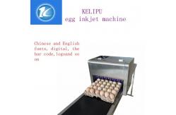 China Egg Inkjet Coding Equipment / Continuous Ink System Printer With Six 45ML Ink supplier