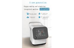 China Amonoy Continuous Medical Oxygen Concentrator 1 Litre For Home supplier