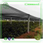 80% shading rate farm sun shade net for plant in low price