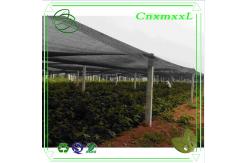 China 80% shading rate farm sun shade net for plant in low price supplier
