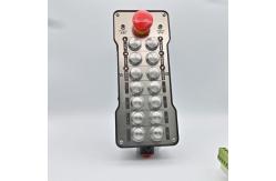 China 12Volt Push Button Remote Control , 500m Wireless Remote Controller supplier
