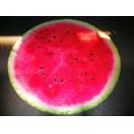 Round Fruit Print Flannel Polyester Fleece Blanket Knitted Technics for sale