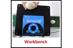 China Micro Characters / Dot Matrix Egg Stamping Machine Single Row No Need To Clean supplier
