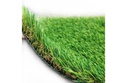 China Plastic Synthetic Grass Rugs Turf Artificial Carpet Mat For Landscaping supplier