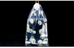 China 0.06mm Transparent LDPE Plastic Drawstring Bags supplier