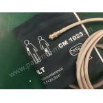 Fetal Monitor Parts Edan F9 Fetal Monitor Adult Cuff CM1023 25cm To 35 Cm Compatible Condition for sale