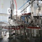 Full Automatic Beverage Csd Filling Line Rinsing Filling Capping 3 In 1