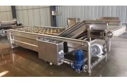China Vegetable Washer Machine With Water Circulating System Fruit Washing  Machine supplier