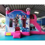 Frozen Double Slide Bounce House Combos Inflatable Bouncer for sale
