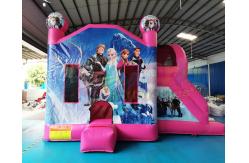 China Frozen Double Slide Bounce House Combos Inflatable Bouncer supplier