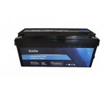 25.6V 100Ah LifePO4 Lithium Battery Pack For Housegold Sloar Energy Storage System for sale
