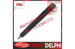 China SSANGYONG DELPHI Diesel Fuel Injector EJBR02601Z EJBR04601D EJBR026012 HDR341 supplier