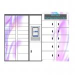 Indoor Refrigerated Parcel Locker 24Hours Self Service Smart Cabinet Fruit for sale