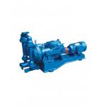 Cast Iron SS304 Electric Diaphragm Pump Low Pressure 30m Head for sale