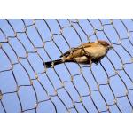304 316 Stainless Steel 1.2mm Aviary Mesh Netting for sale