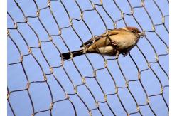 China 2.0mm Aviary Wire Netting , Ferruled Parrot Aviary Mesh supplier