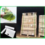 RC Lustre Photo Glossy Coated Paper 240GSM Inkjet Printing Paper 0.61*30m 0.914mm*30m for sale