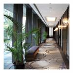 Tufted Nylon Printed Carpet Roll For Holiday Express Hotel Public Areas for sale