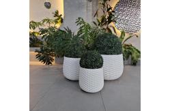 China Modern Fiber Cement Pot Frost Resistant And Character Design For Plants supplier