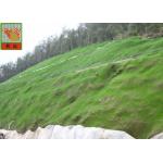 Reinforced Geomat For Erosion Control , Landscape Mesh Erosion Control 350 g / sqm for sale