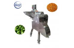 China Single Phase Multifunction Vegetable Cutting Machine Vegetable Shredder Machine 1000KG/H supplier