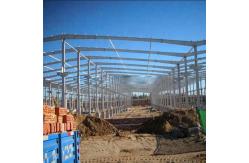 China Container Coffee Shop manufacturer