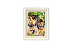 China 0.6mm PET + 157g Paper 3D Lenticular Printing Service Of Dinosaure Images supplier