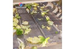 China X Fruit And Vegetable Processing Line 2025 With Advanced Technology supplier