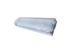 China Professional Custom Surface Wall Mounted Waterproof Emergency Light supplier