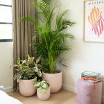 Transform Your Garden with Durable and Lightweight Fiberglass Flower Pots for sale