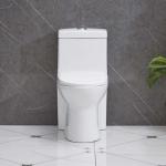 Siphonic One Piece Water Closet Toilet Dual Flush Sanitary Ware