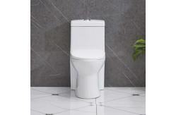 China Siphonic One Piece Water Closet Toilet Dual Flush Sanitary Ware supplier