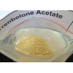 China Injectable Trenbolone Acetate Fat Loss 10161-34-9 for sale