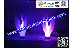 China Seaweed Lighting Inflatable Decoration ,  inflatable Party Decoration supplier