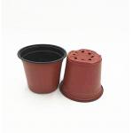 Disposable Double Color Flower Pot For Greenhouse And Garden for sale