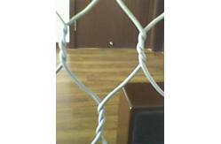 China 60*80mm Gabion Mesh Making Machine Stone Cage Box For Sustain Bank supplier