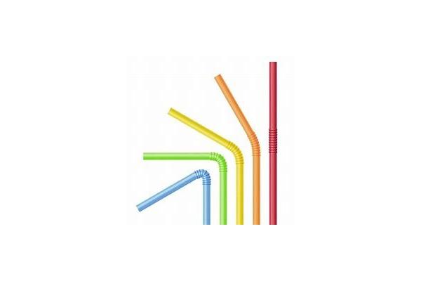 Compostable Biodegradable Pla Plastic Pointed Straw With Letter Wheat Straw