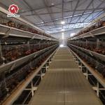 Long Time Use Hot Galvanized Broiler Chicken Cage 17 Chicks / Cell for sale