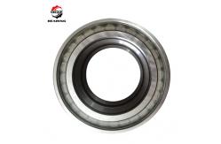 China Full Complement Cylindrical Roller Bearing SL01 4830 High Performance supplier