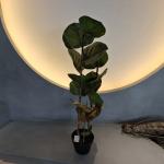 100cm Artificial Coccoloba Tree UV Resistant for sale