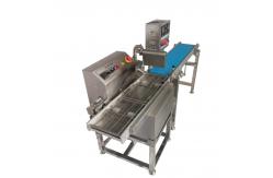 China Small Scale Chocolate Enrobing Line For Candy Bar supplier