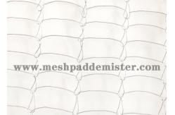 China High Resolution 12 Mm Hole SS304 Knitted Wire Mesh supplier