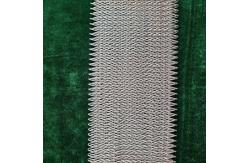 China High strength Spiral Mesh Belt Stainless Steel Wire Mesh Belt supplier
