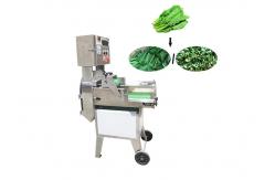 China Home Salad 100kg Multifunction Vegetable Cutting Machine supplier