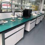 High Durability Chemistry Lab Workbench Laboratory Workstation Furniture Safe for sale