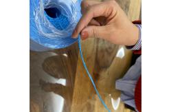 China Length 3000M/Roll 3600m/Roll Agriculture Baler Twine , UV Resistance Tomato Twine supplier