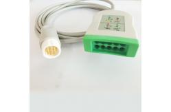 China PH 10 Leads TPU 2.2m Length ECG Trunk Cable For HP supplier