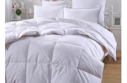 China 50% 150x210cm Duck And Down Quilt supplier